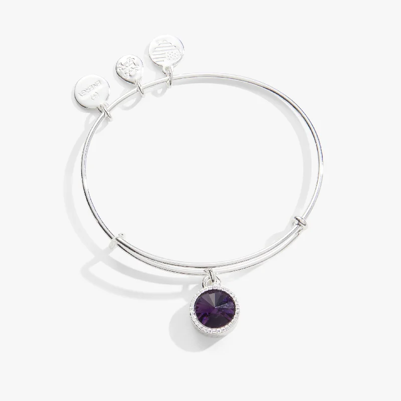 Flash Sale On Stunning Jewelry – Don't Miss Out February Birthstone Charm Bangle, Amethyst